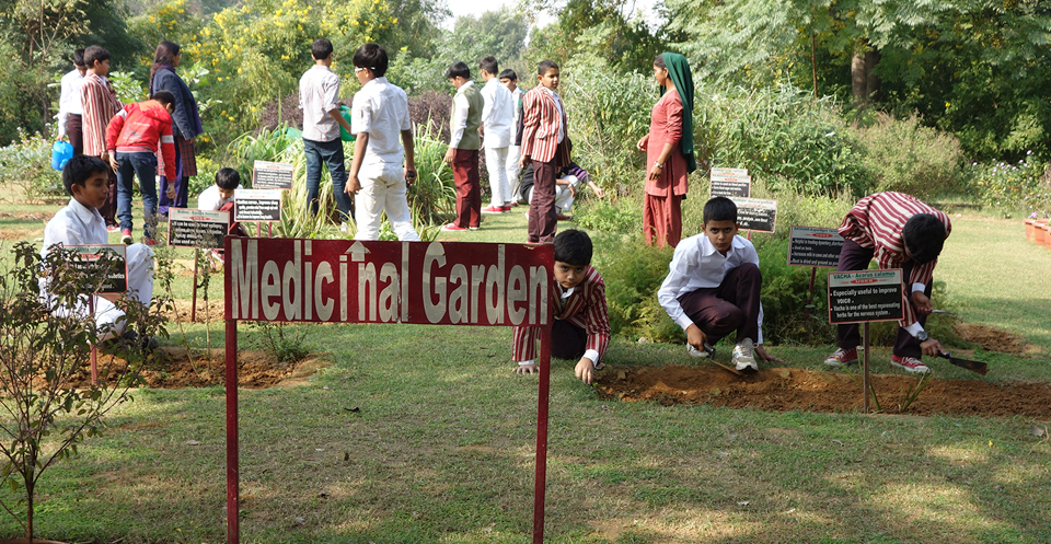 The Sagar School Gardening