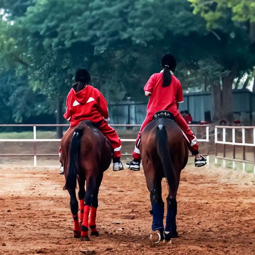 Equestrian Arena